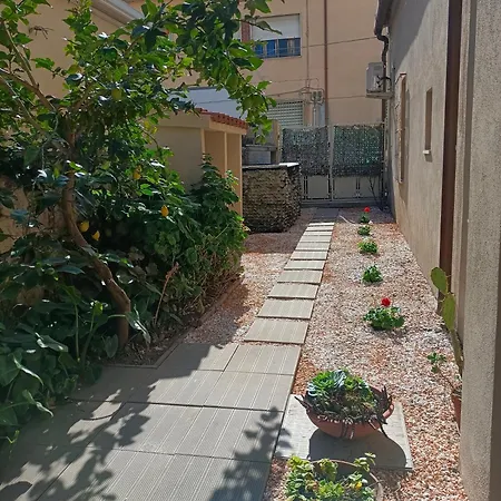 Alisso 3* أولبيا