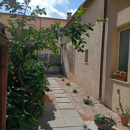 Alisso Olbia